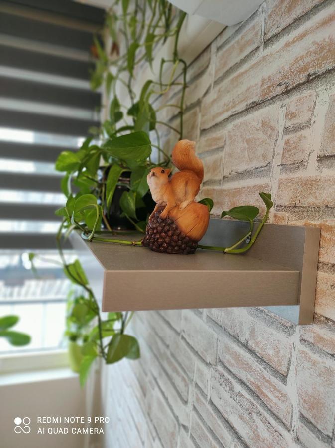 Baross Apartman Kaposvár Exterior foto